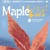 Artwork for Young Val - MAPLE VIBE ft. NyuKyung | xavin102 remix