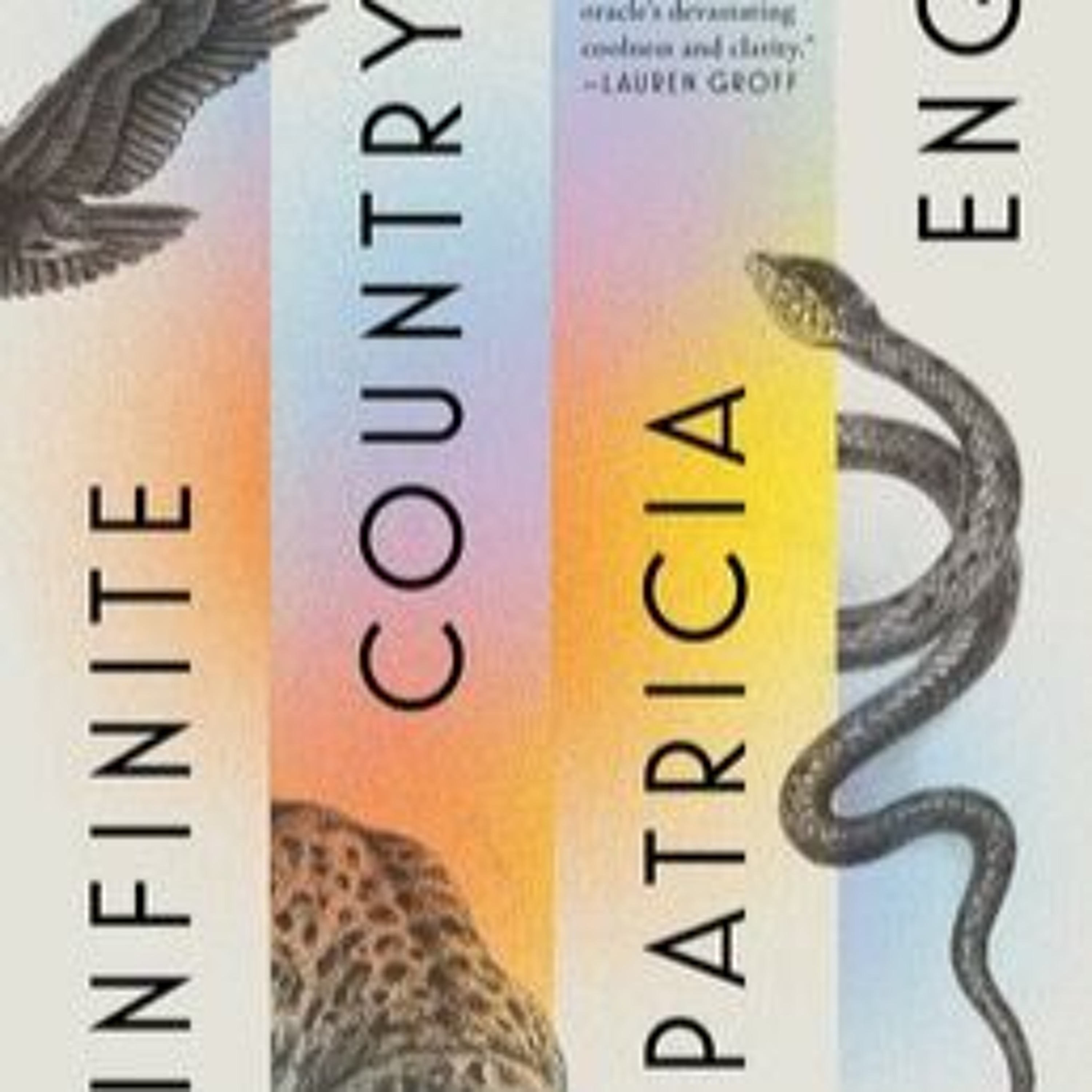 Infinite Country by Patricia Engel episode artwork
