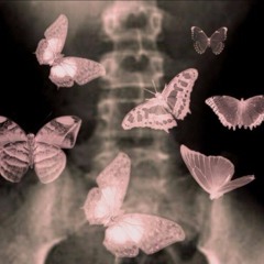 Butterflies ʚїɞ ʚїɞ ʚїɞ