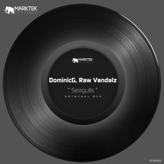Raw Vandalz & DominicG - Seagulls (Original Mix)