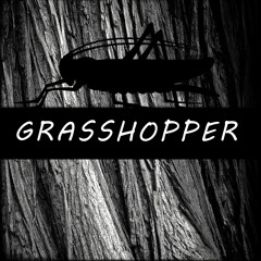 Nero Lione - Grasshopper