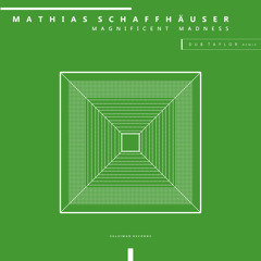 Mathias Schaffhäuser - Collapsing Collabs (Dub Taylor Remix)