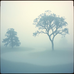The fog of love-1