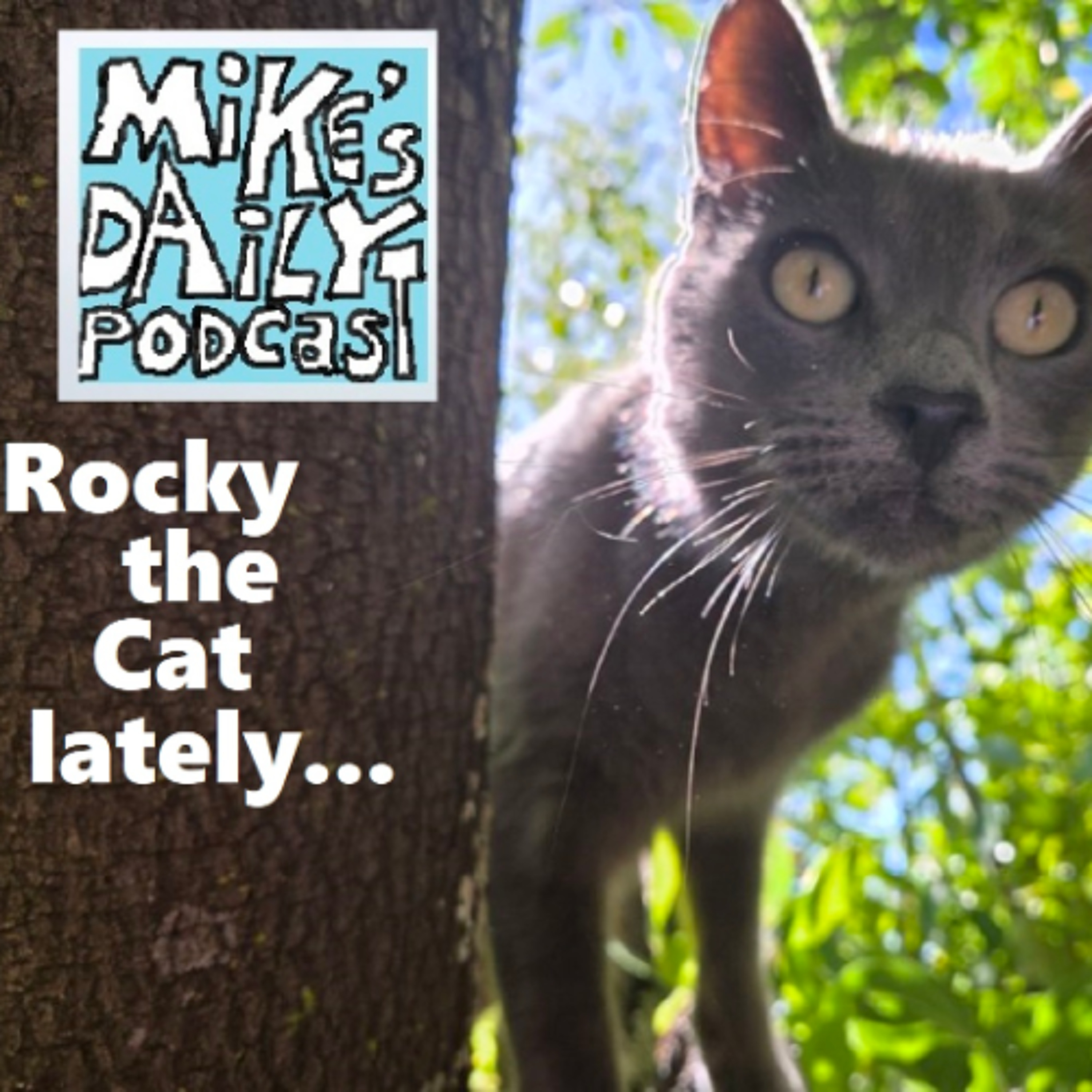 MikesDailyPodcast 3334 Philanthropy episode artwork