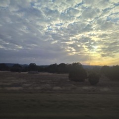 Lord here I am! Send me! (an ode to college decisions)