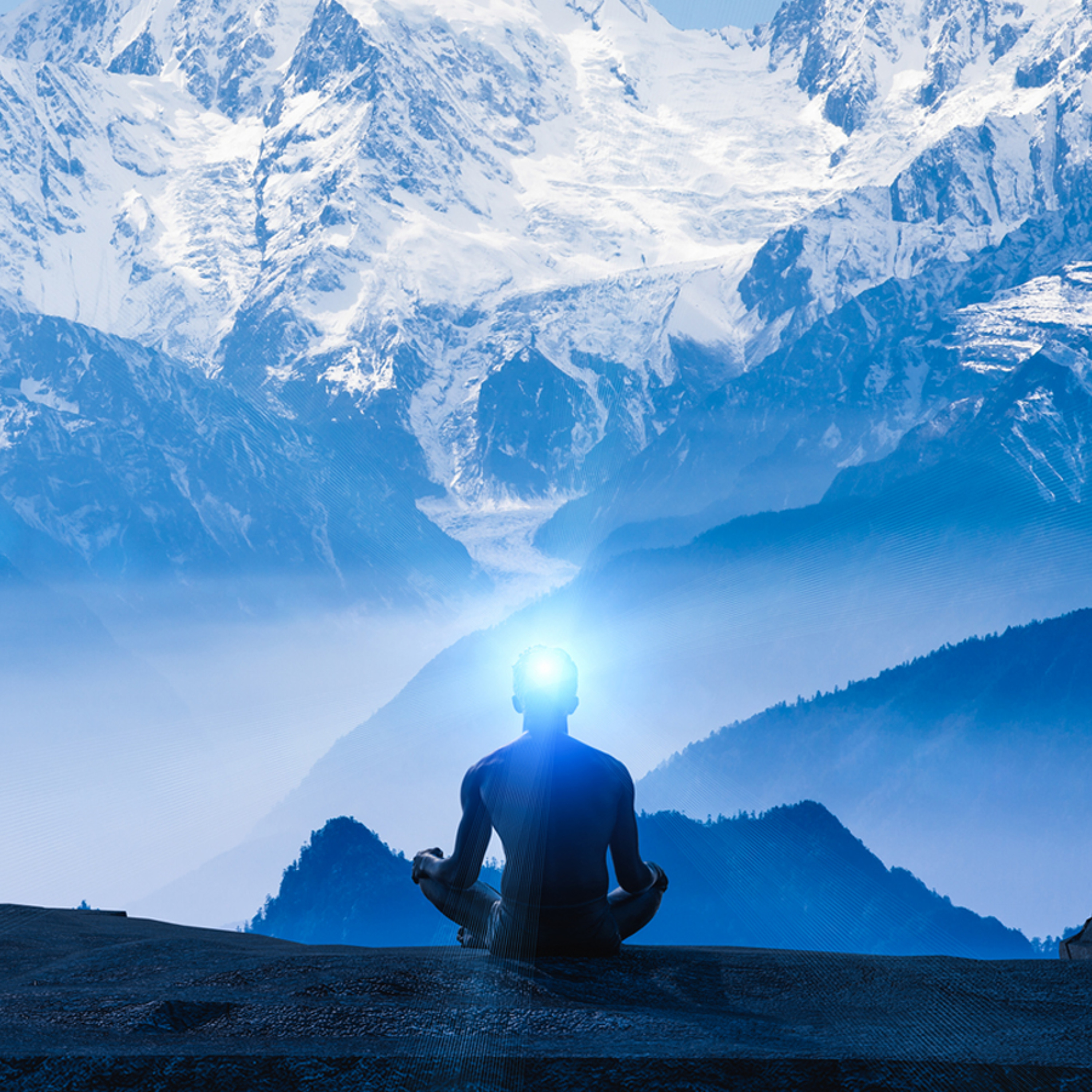 cover of episode Inhabit: Your Wisdom