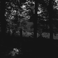nocturne (prod. n0vals x 03reiko)