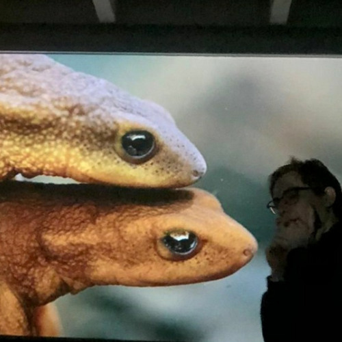 fidji wasserflüssigkeit