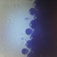 Information Emigrates