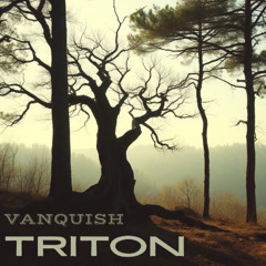 Vanquish demo