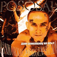 R3NK0RX8, MORGENSHERN - POSOSAL