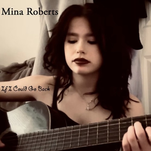 3. It's Not Everything - Mina Roberts.wav