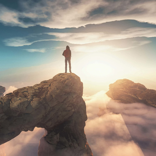 Searching For The Answers