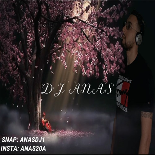 حمزه المحمداوي - دمار ريمكس DJ ANAS 2021