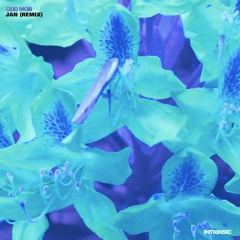 Odd Mob - Intrinsic (Jan Remix)