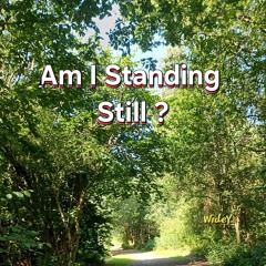 Am I Standing Still_