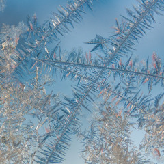 十二月（December）