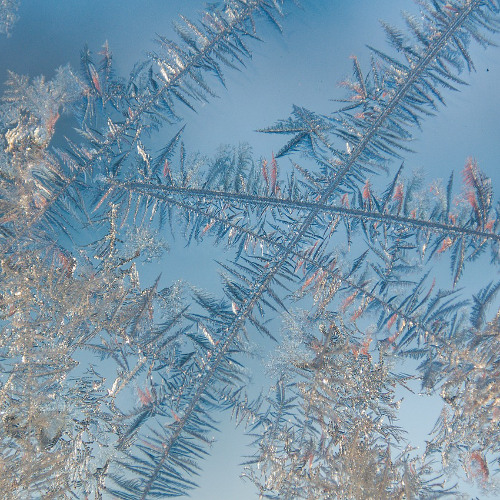 十二月（December）