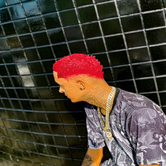 PEITO FAKE , BUNDA FAKE - MC MAGRINHO E MC MR BIM (DJ MENOR ML)