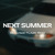 Artwork for Damiano David - Next Summer (VLaM1N Remix)
