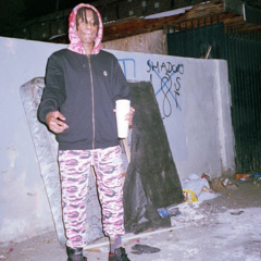 Bird Flock prod.solosavin