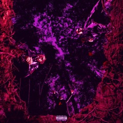 Homixide Gang - NiNO 5ROWN (Slowed + Reverb)