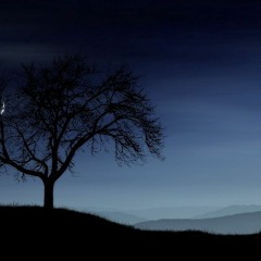 A Dream (Prod. Mors)