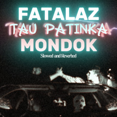 feat. Mondok - TAU PATINKA (Slowed&Reverbed)