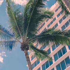 mashup 07- just like disco diva