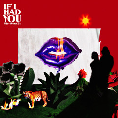 Love Don't Feel the Same