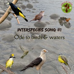 Interspecies Song #1 - Ode to birds & waters