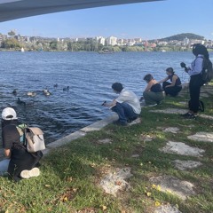 SoundWalk-CleanVersion