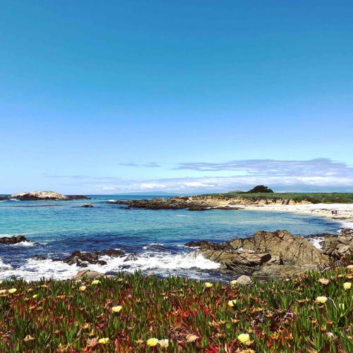 Nocturne No. 1 Op. 2 "In Search of Lost Time"