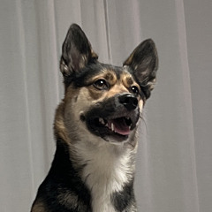 no muffs got hurt in this one