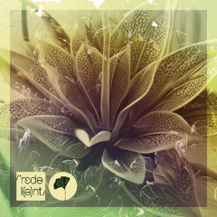 Bakean, Tebra - Outra Vez (DiMO (BG) Snippet Remix)