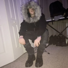 fl3x