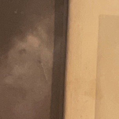 #dibiflipsessions7 #wearesidechain