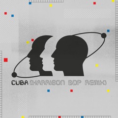 Adelphi Music Factory - Cuba (Harrison BDP Remix)