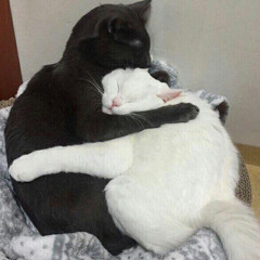 Needed You