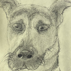 Futurama Fuck them Hoes - ft. Hunt