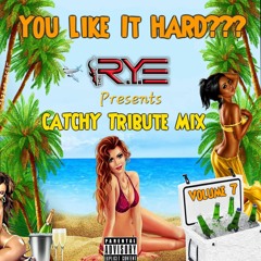 You Like It HARD??? - Volume 7 - Catchy Tribute Mix