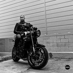 Bagagee Viphex13 - THIS THIS