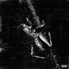 A INSECTS HUSK // NEURAL HIJACK