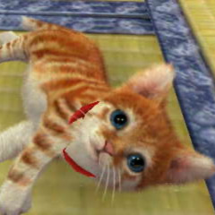 cats