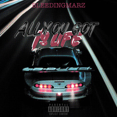 All you got is life (prod.byDanielParis)