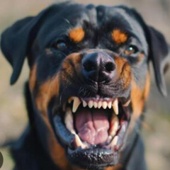 The Wharf - J@ck London Studio Music Productions.