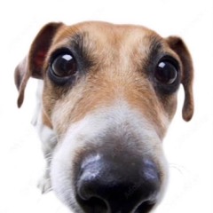 Dope Island Freestyle (vrtex)