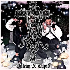 *Stylin Committee* vulcan x CUPiD