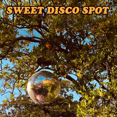 Sweet Disco Spot 2007