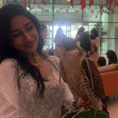 ‎⁨شمس المحبه - عيضه المنهالي⁩